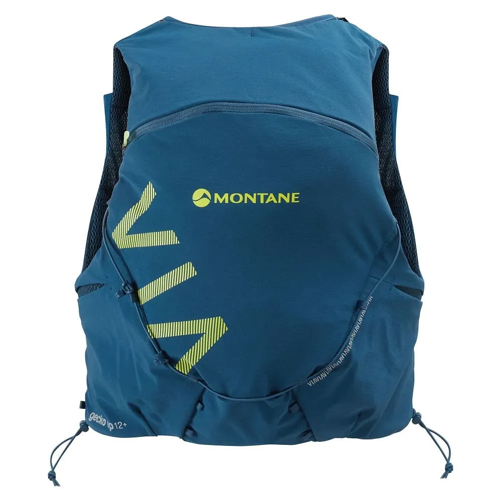 Gecko VP 12  Race Pack OLD