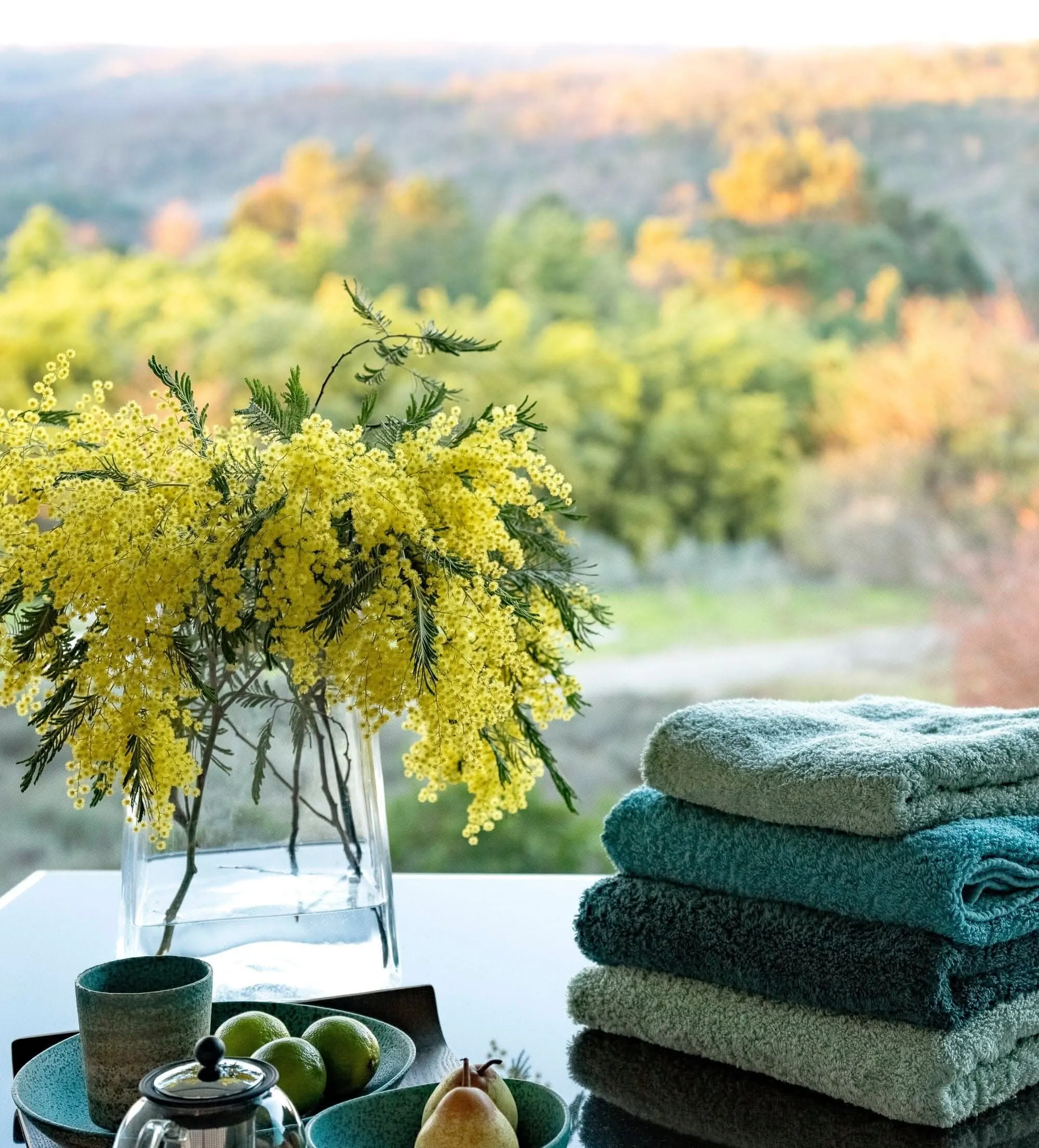 Super Pile Bath Towels (28 x 54" | 70 x 140 cm)