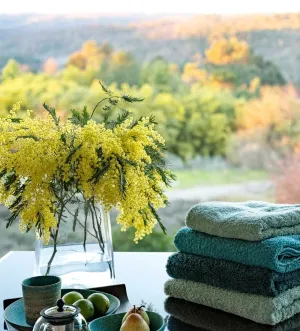Super Pile Bath Towels (28 x 54" | 70 x 140 cm)
